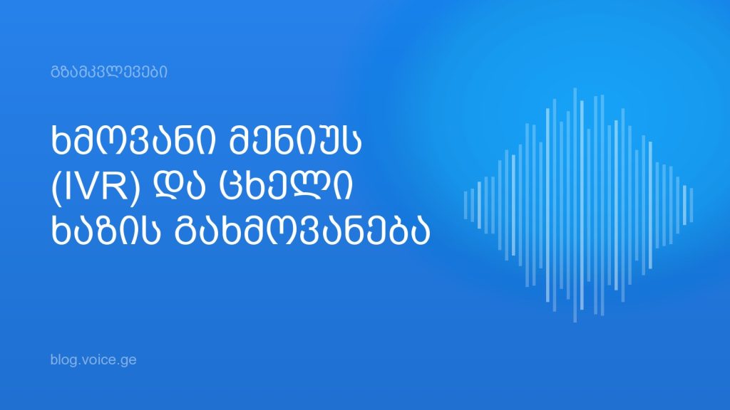 ხმოვანი მენიუს (IVR) და ცხელი ხაზის გახმოვანება: სრული გზამკვლევი